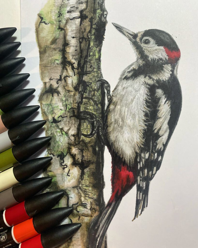 Hand‑drawn wildlife illustrations digitally developed into a public mural for Hogmoor Inclosure.