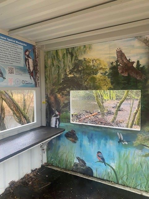 Public nature‑themed mural with information board at Hogmoor Inclosure, Hampshire.